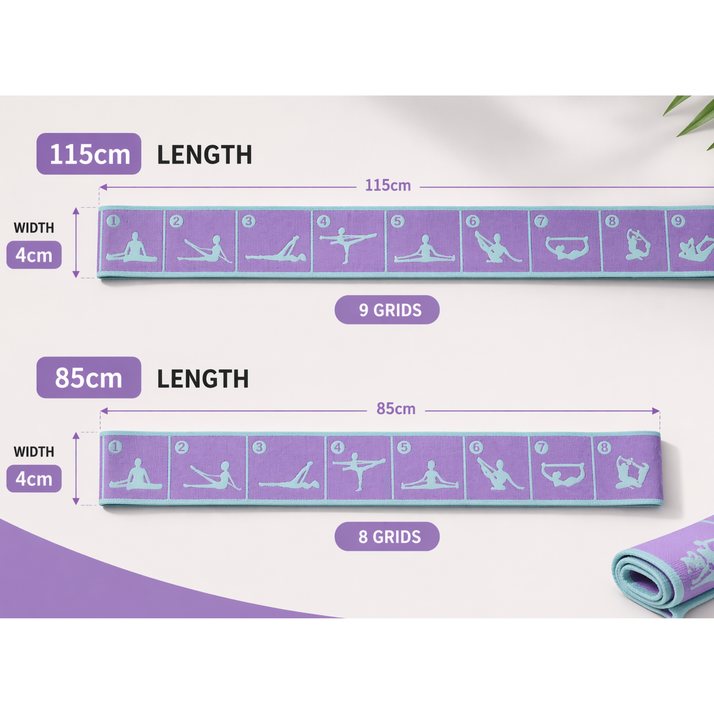 Premium Flex Band – Yoga & Pilates Training